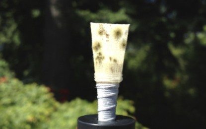 Improve your sound and extend the playing life of your reed by controlling moisture.
