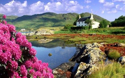 Iain MacDonald: The Flowers in May (Slow Air)