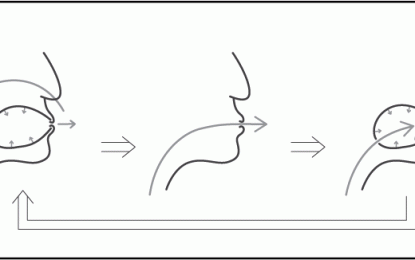 What is Circular Breathing?